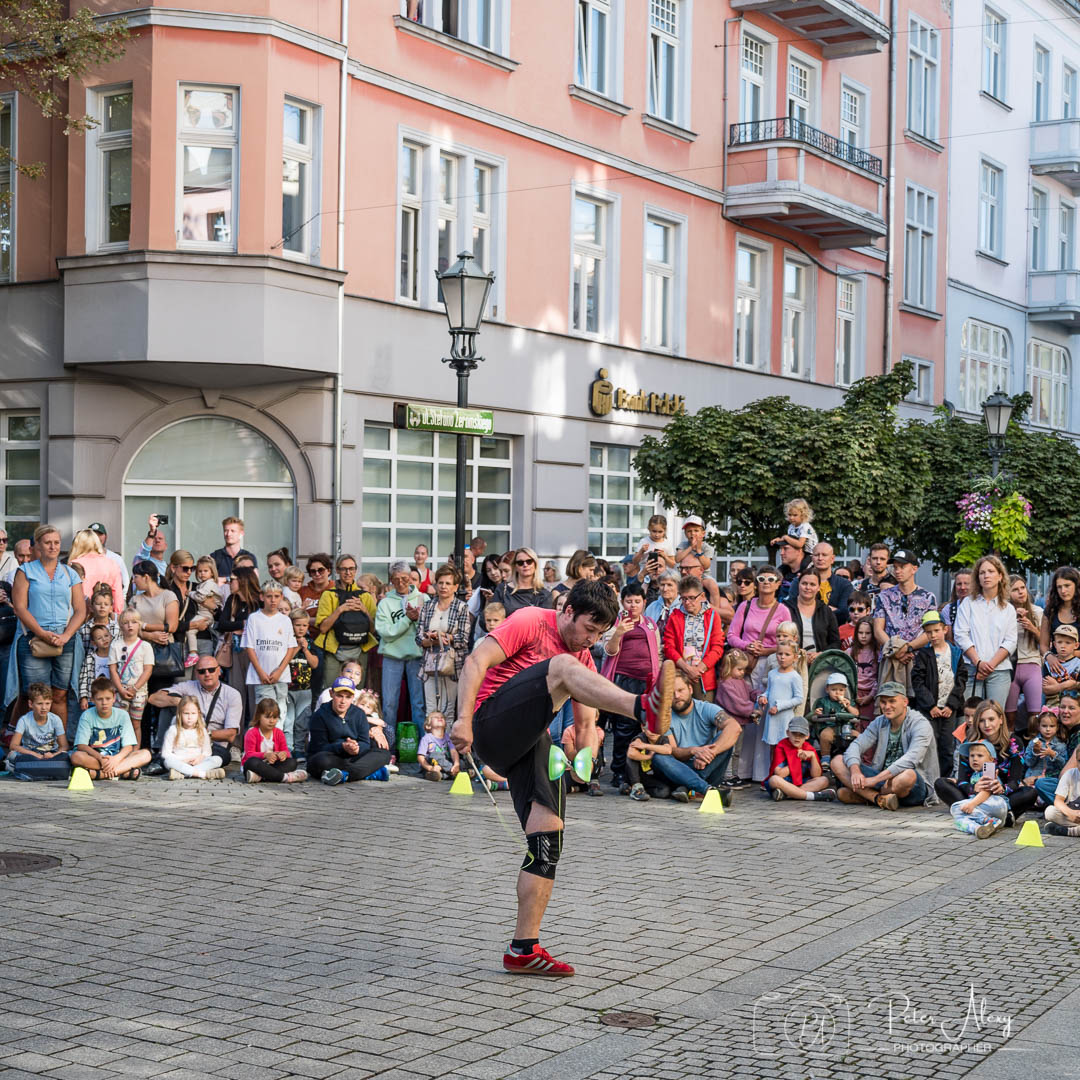 _DSC0246