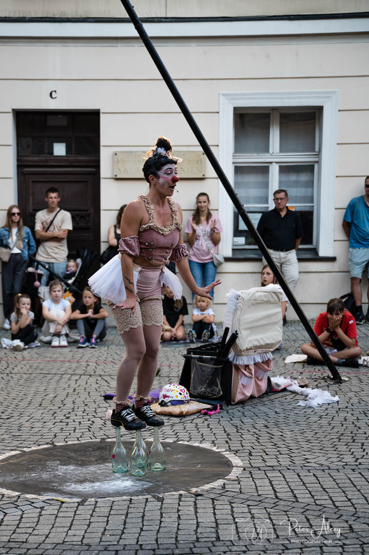 _DSC0378